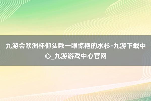 九游会欧洲杯仰头瞅一眼惊艳的水杉-九游下载中心_九游游戏中心官网
